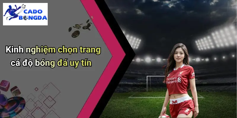 Cá Độ Bóng Đá