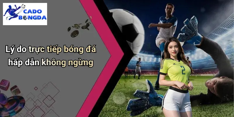 Trực Tiếp Bóng Đá