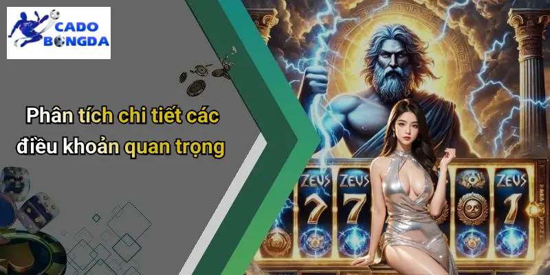Điều Khoản Điều Kiện