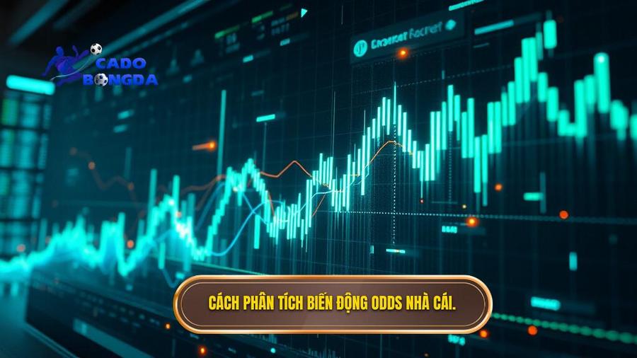 3. Cách phân tích biến động Odds nhà cái.
