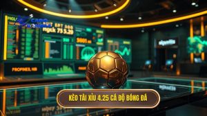 Kèo tài xỉu 4.25 CÁ ĐỘ BÓNG ĐÁ (1)