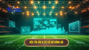 Kèo tài xỉu 6.25 CÁ ĐỘ BÓNG ĐÁ