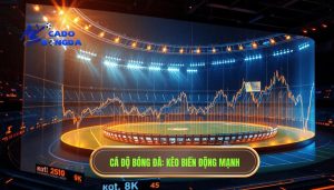 Kèo bắt đầu biến động mạnh