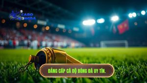 Tiếng còi mãn cuộc vang lên đầy cảm xúc