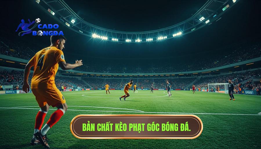 Dấu Hiệu Trận Đấu Nhiều Phạt Góc: Cẩm Nang Toàn Tập Cho Người Chơi 1 Phân tích bản chất của kèo phạt góc trong bóng đá