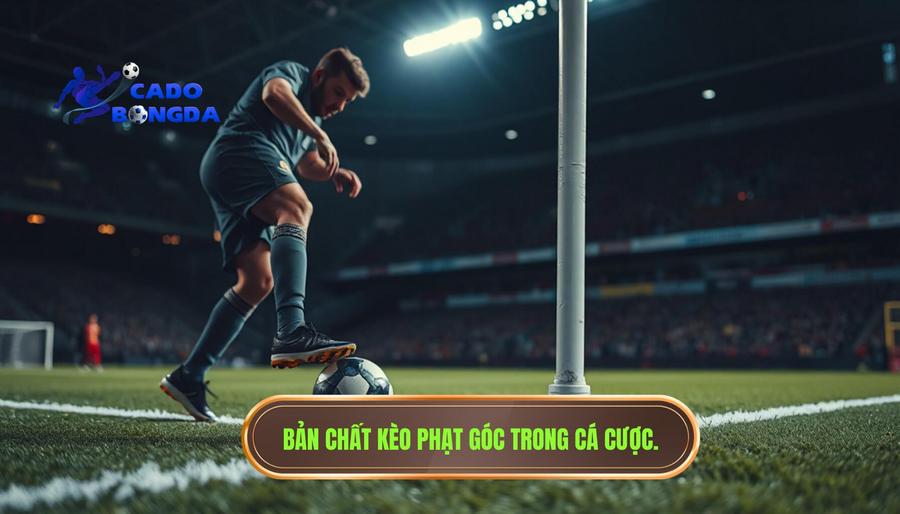Khi nào nên đánh kèo góc? Cẩm nang chiến thắng từ chuyên gia CÁ ĐỘ BÓNG ĐÁ 1 Hiểu bản chất của kèo phạt góc là gì?