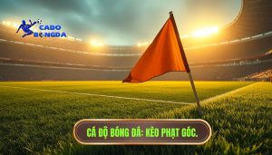 Dấu Hiệu Trận Đấu Nhiều Phạt Góc: Cẩm Nang Toàn Tập Cho Người Chơi